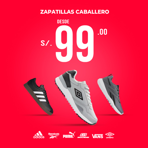 DISEÑO WEB CATUALIZADO-06